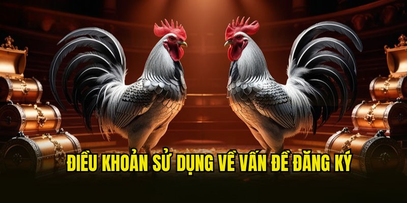 Điều khoản sử dụng SV388 có liên quan đến vấn đề đăng ký