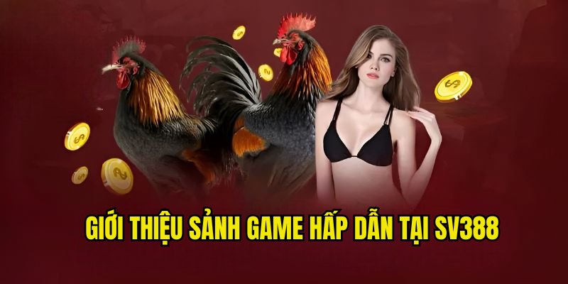 Các sảnh game cá cược độc đáo và hấp dẫn nhất tại SV388