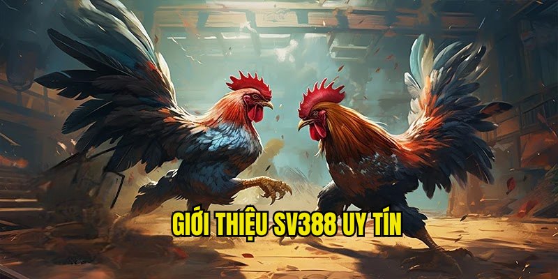 Thông tin giới thiệu SV388 là nhà cái đá gà nổi tiếng top 1