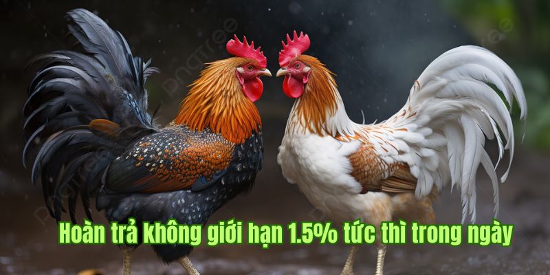 Hoàn trả không giới hạn 1.5% tức thì trong ngày 