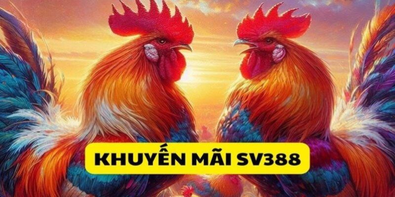 Điều khoản điều kiện cần nằm lòng khi săn khuyến mãi SV388 